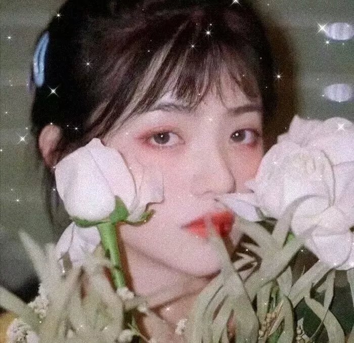 富贵浮云